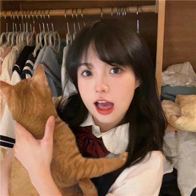 豆豆猫